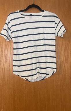 Madewell Whisper Cotton Crewneck Tee in Creston Stripe Navy White